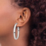 14k White Gold Oval Hoop Earrings, High Polish Finish, Classic Hinged Clasp, Lightweight Design