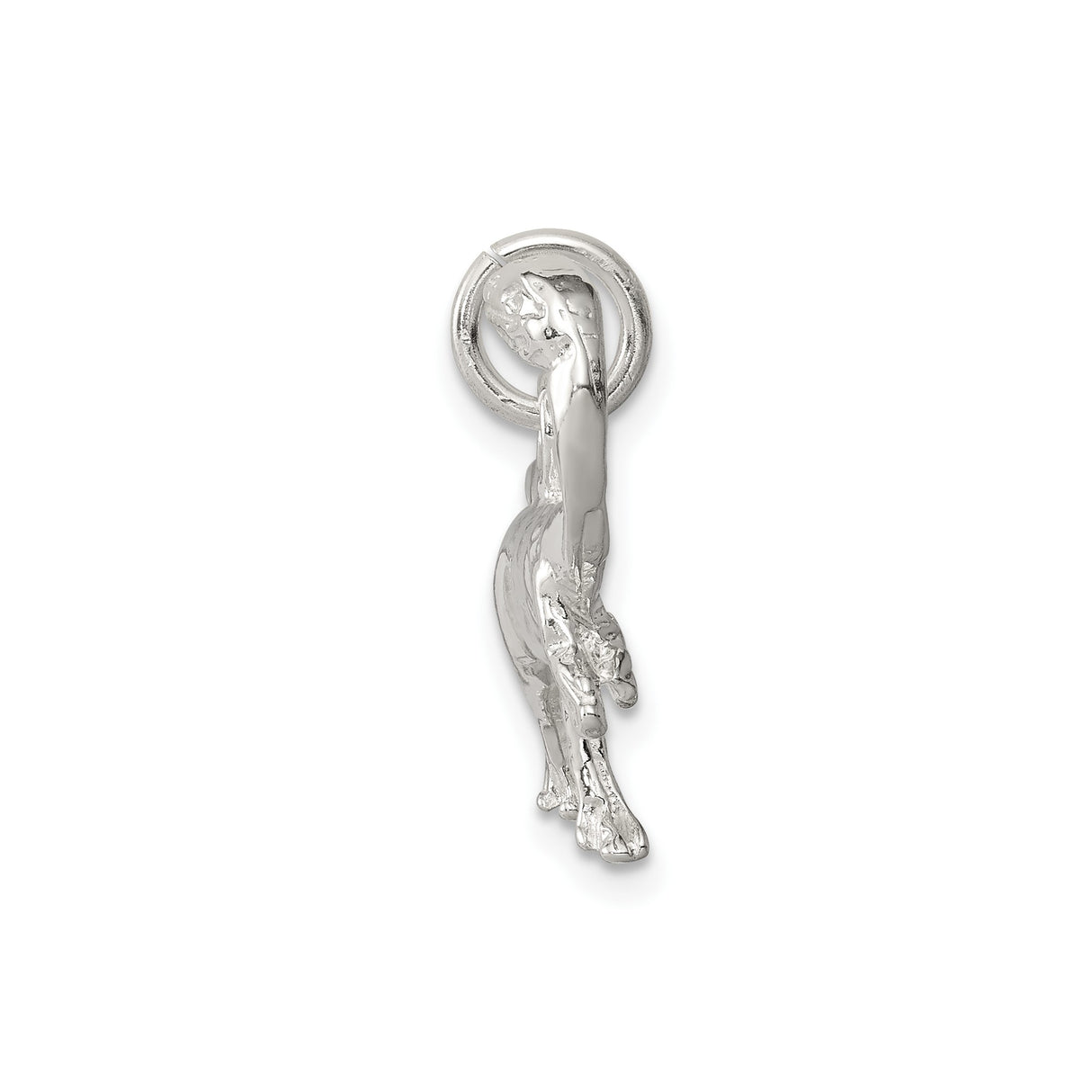 Sterling Silver Dinosaur Pendant with Realistic Sauropod Design, Polished Finish, Unisex Jewelry
