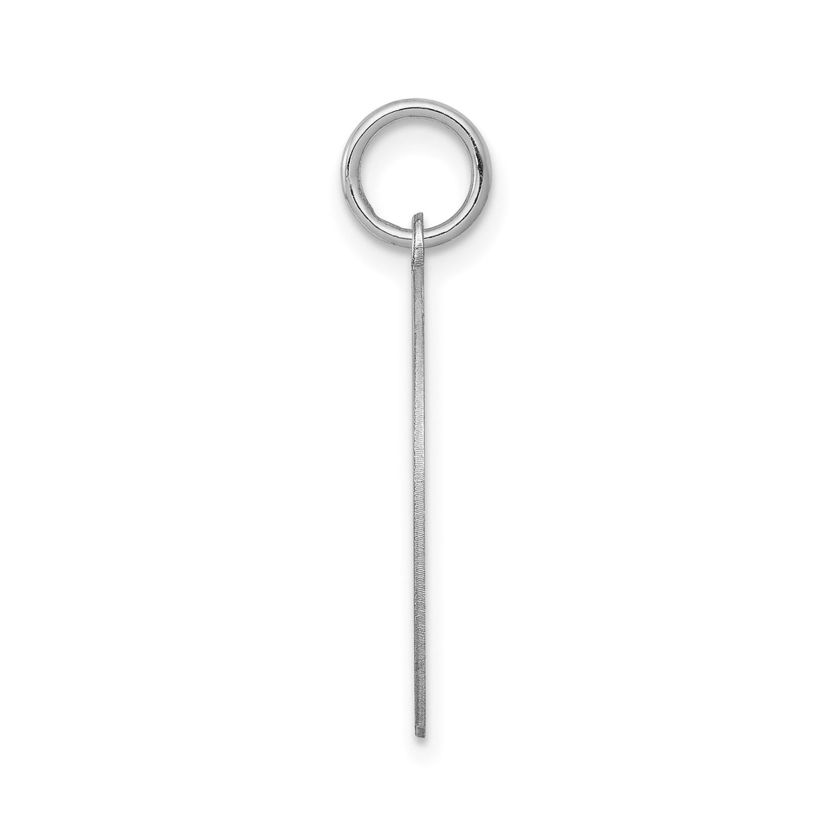 Sterling Silver Pisces Zodiac Pendant with Brushed Round Disc, Celestial Horoscope Charm