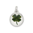 Sterling Silver Four-Leaf Clover Pendant with Real Preserved Clover, Irish Lucky Charm