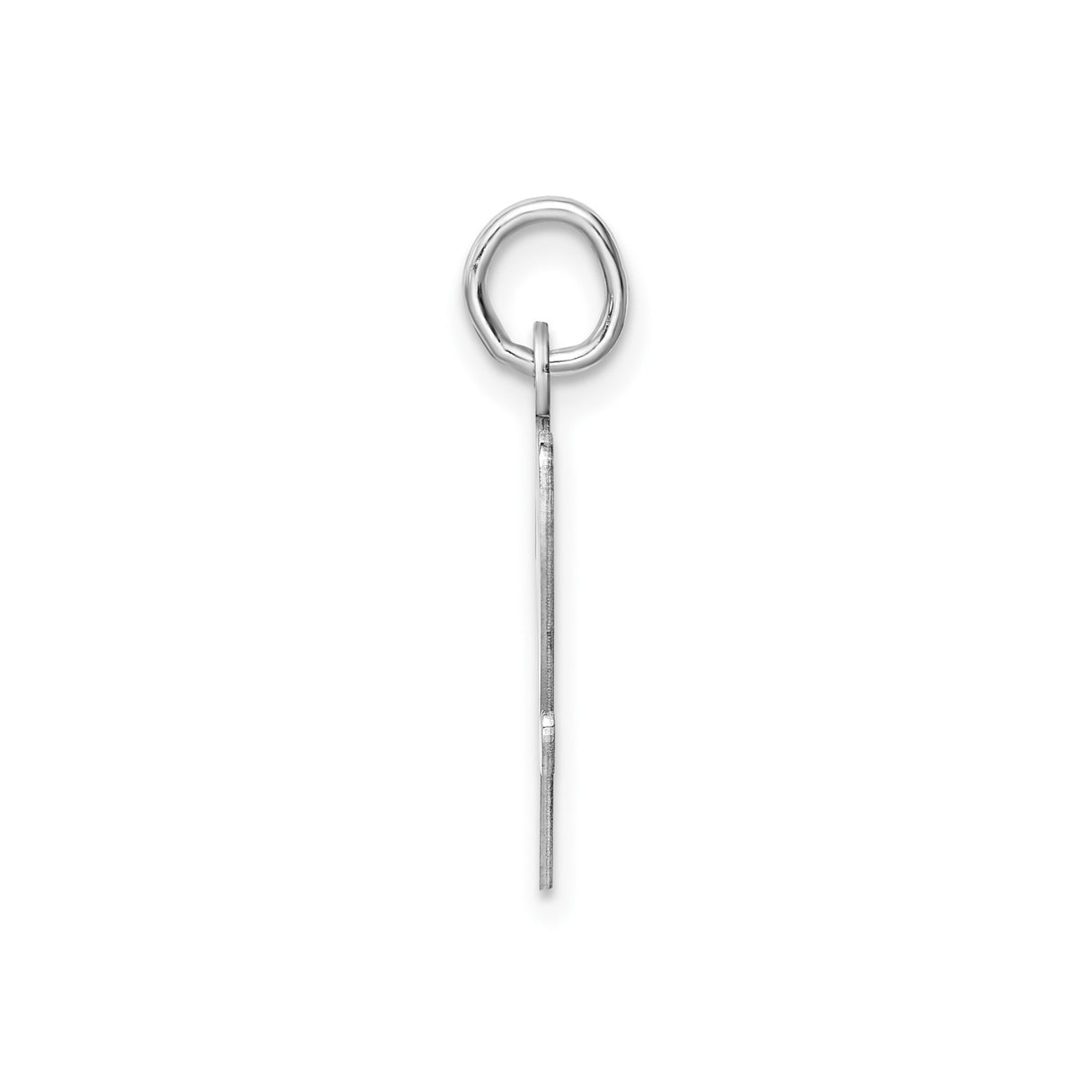 Sterling Silver Capricorn Zodiac Pendant with Script Symbol, Astrology Charm