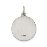 Sterling Silver Saint Luke Pendant with Winged Ox and Medical Staff Symbol