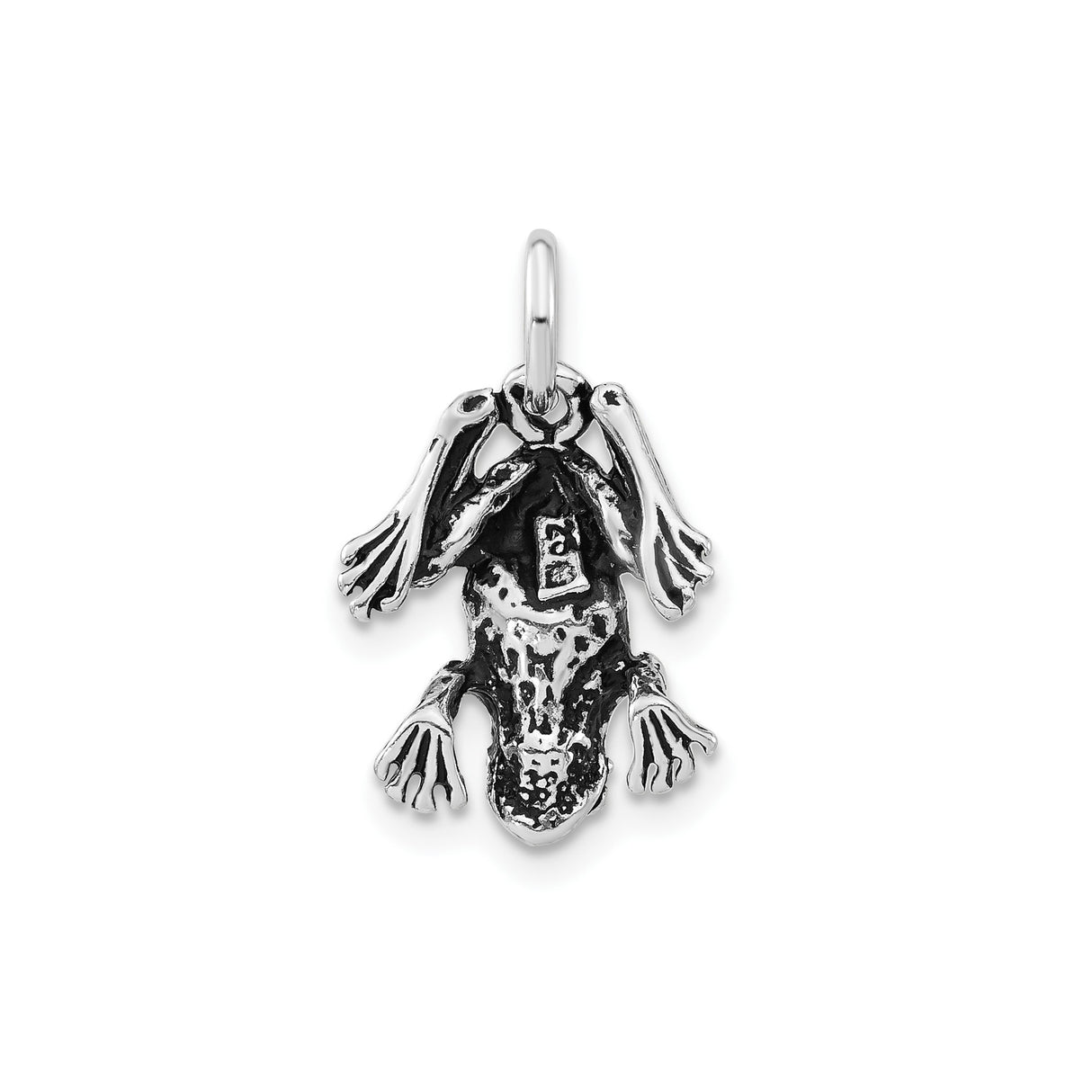 Sterling Silver Frog Pendant with Realistic Design, Nature-Inspired Animal Totem Jewelry