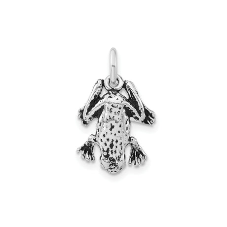 Sterling Silver Frog Pendant with Realistic Design, Nature-Inspired Animal Totem Jewelry