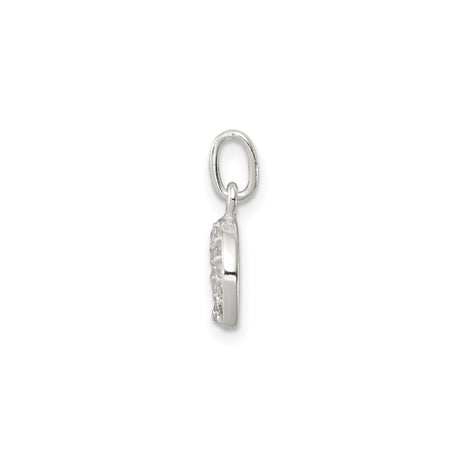 Sterling Silver Horseshoe Pendant with Cubic Zirconia, Good Luck Talisman Jewelry for Women