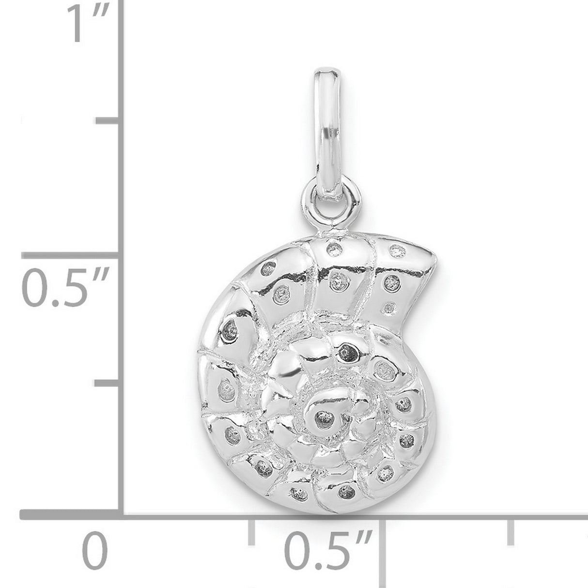 Polished Seashell Charm Pendant in Real 925 Sterling Silver