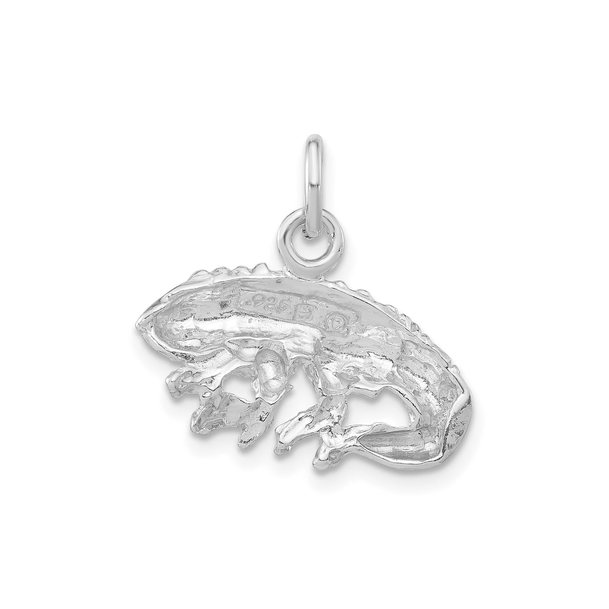 Sterling Silver Iguana Pendant, Detailed Reptile Charm, Nature-Inspired Animal Jewelry