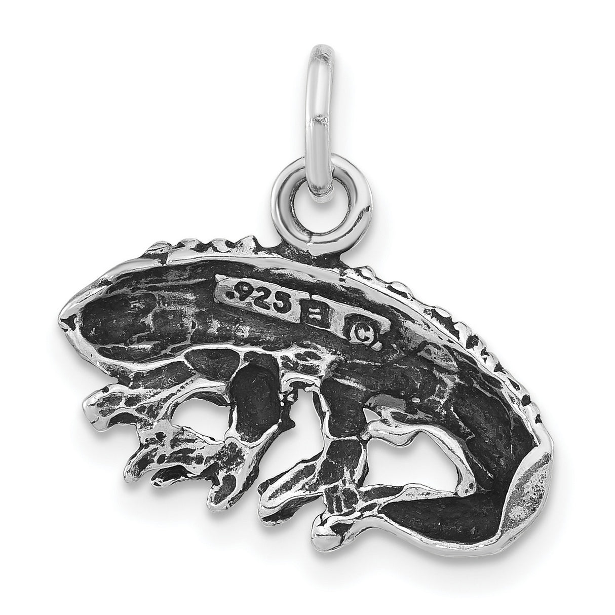 Antiqued and Textured Iguana Charm Pendant in Real 925 Sterling Silver