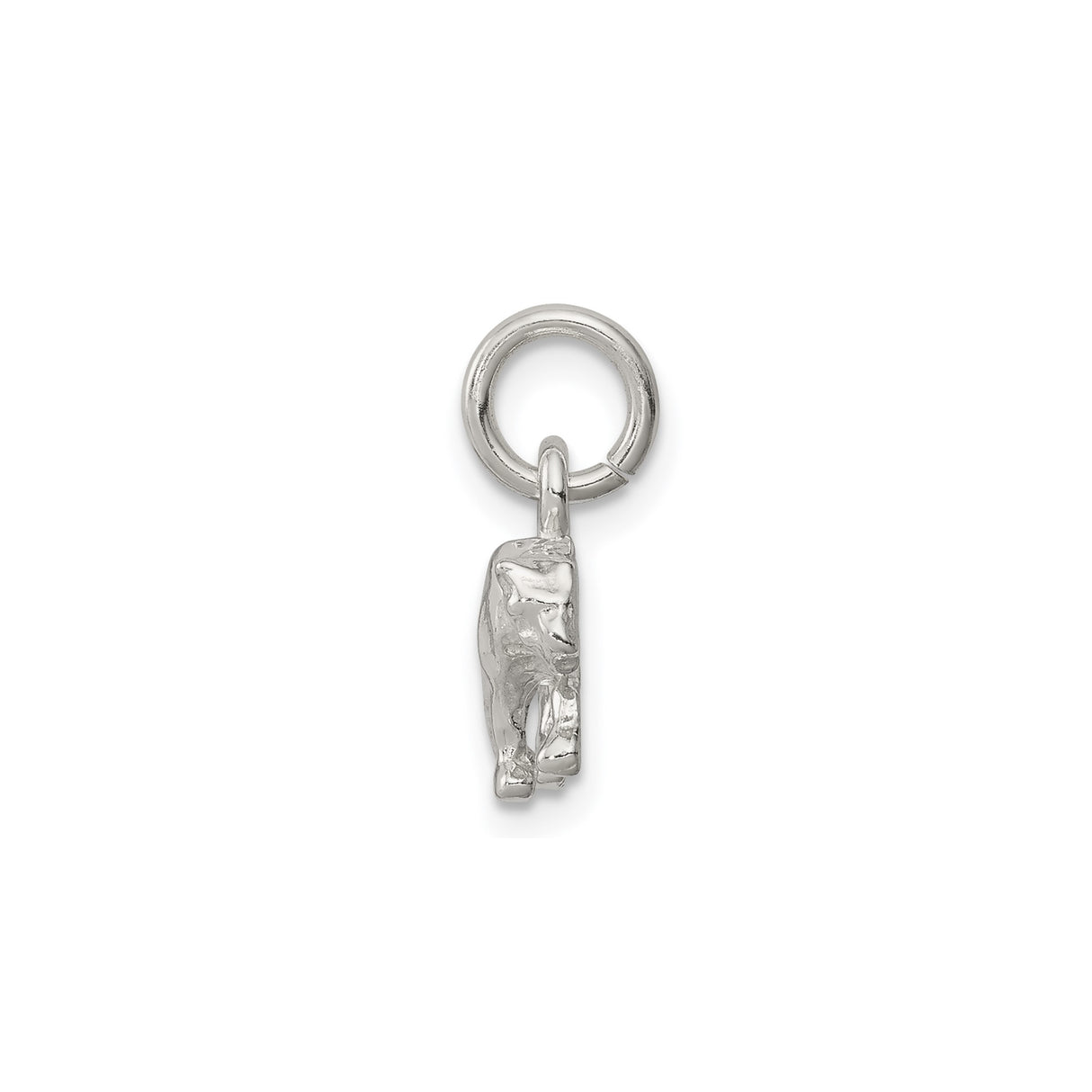 Sterling Silver Panther Pendant, Walking Jungle Cat Charm with Detailed Design for Women or Unisex Wear
