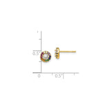 Sterling Silver Round Stud Earrings with Clear Cubic Zirconia and Rainbow Halo