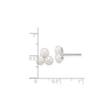 Sterling Silver Freshwater Pearl Stud Earrings Tri Cluster
