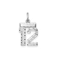Sterling Silver Number 12 Pendant, Sports Charm with Polished and Textured Detail