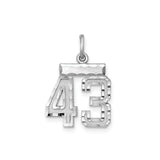 Sterling Silver Number 43 Pendant Charm, Polished and Textured Sports Jewelry