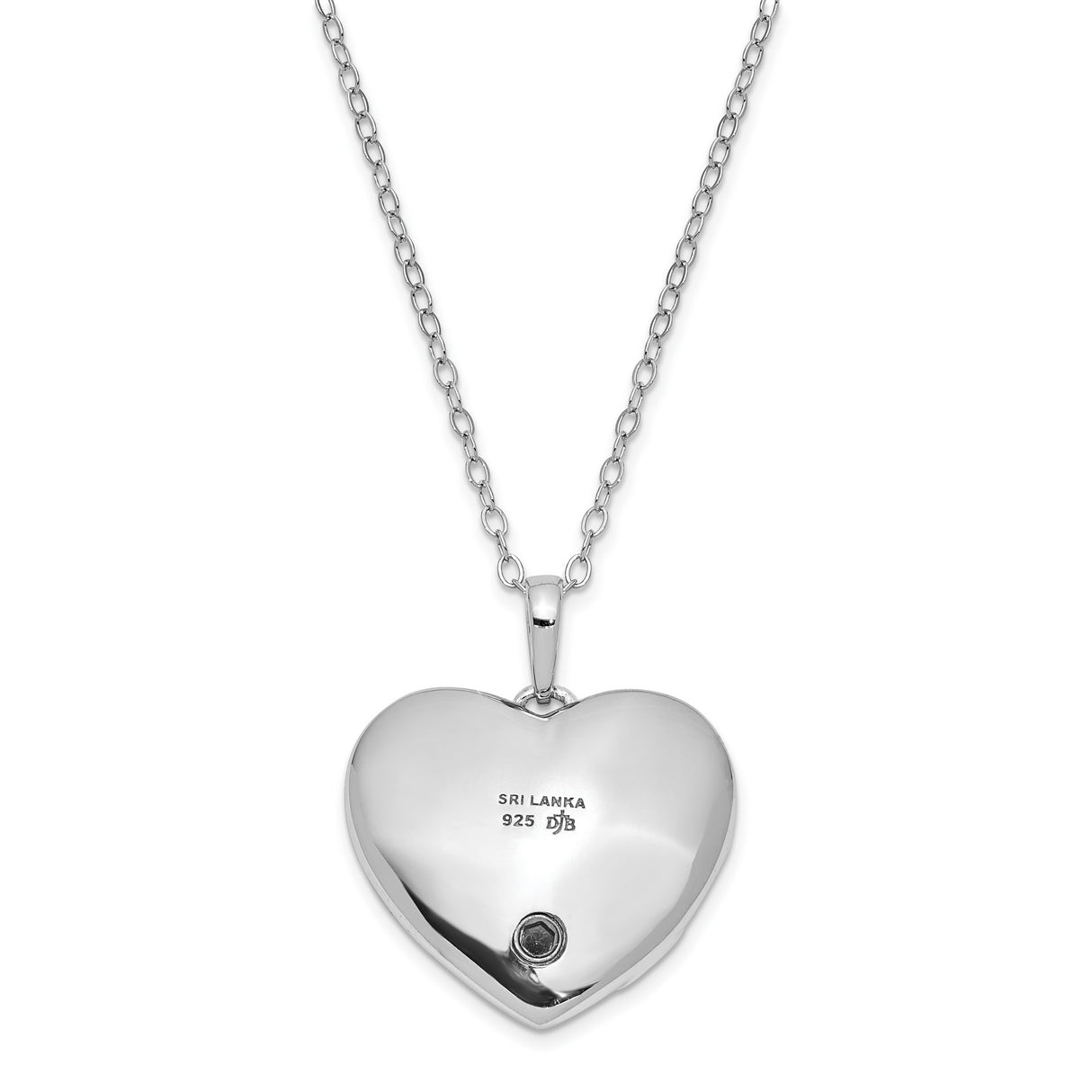 Antiqued Pet Ash Holder 18 Inch Necklace Charm Pendant in Real 925 Sterling Silver