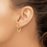 14k Yellow Gold Hoop Earrings, Bamboo Style Textured Design, Lightweight Statement Jewelry for Women