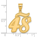 Brushed Border Script Number 48 Charm Pendant in Real 14k Yellow Gold
