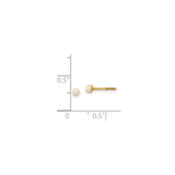 14k Yellow Gold Pearl Stud Earrings with Screw Back, Round White Freshwater Pearl Design
