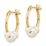 14k Yellow Gold Hoop Earrings with Three White Freshwater Cultured Pearls