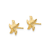 14k Yellow Gold Starfish Stud Earrings, Textured Nautical Ocean Design for Women