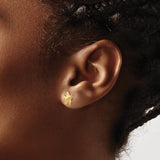 14k Yellow Gold Starfish Stud Earrings, Textured Nautical Ocean Design for Women