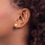 14k Yellow Gold Stud Earrings with White Opal in Classic Four Prong Setting