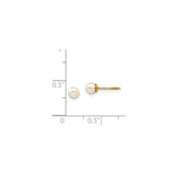 14k Yellow Gold Pearl Stud Earrings with Round White Cultured Pearls, Screw Back, Classic Style