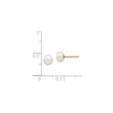 14k Yellow Gold Stud Earrings with Round White Cultured Pearls, Classic Style for Women