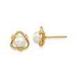 14k Yellow Gold Stud Earrings with Cultured Pearl in Open Knot Triangle Design
