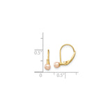 14k Yellow Gold Leverback Earrings with Pink Freshwater Pearls, Minimalist Drop Style for Women