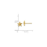 14k Yellow Gold Starfish Stud Earrings, Nautical Coastal Design for Women