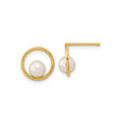 14k Yellow Gold Stud Earrings with White Pearls, Open Circle Design, Minimalist Style
