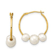 14k Yellow Gold Hoop Earrings with White Freshwater Pearls, Classic Lightweight Design