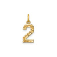 14k Yellow Gold Number 2 Charm Pendant with Textured and Polished Finish