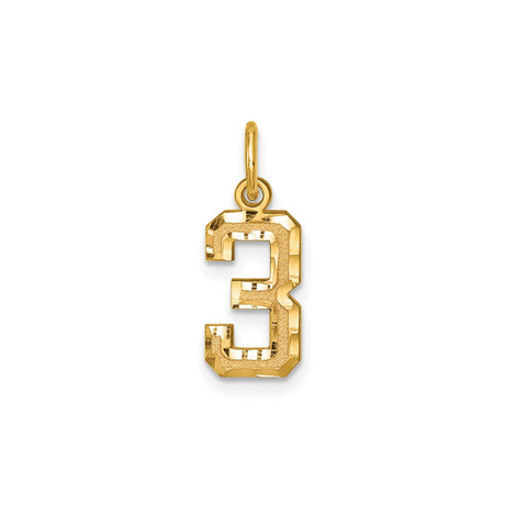 14k Yellow Gold Number 3 Pendant Charm, Textured and Polished Finish, Unisex Symbolic Jewelry