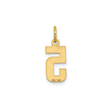 14k Yellow Gold Number 5 Pendant Charm with Polished and Textured Finish, Unisex Design