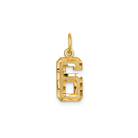 14k Yellow Gold Number 6 Pendant, Textured and Polished Finish, Unisex Numeric Charm