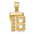 14k Yellow Gold Number 18 Pendant, Textured and Polished Chai Life Charm