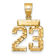 14k Yellow Gold Number 23 Pendant, Textured and Polished Sports Charm for Men or Unisex