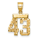 Small Brushed Diamond-cut Number 43 Charm Pendant in Real 14k Yellow Gold