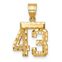 Small Brushed Diamond-cut Number 43 Charm Pendant in Real 14k Yellow Gold