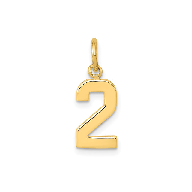 14k Yellow Gold Number 2 Pendant, Solid Polished Numeric Charm, Minimalist Unisex Jewelry