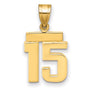 Small Polished Number 15 Charm Pendant in Real 14k Yellow Gold