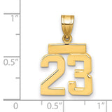 14k Yellow Gold Pendant, Bold Number 23 Sports Charm for Men and Unisex Wear