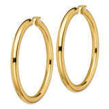 Stainless Steel Hoop Earrings with Gold Tone Finish, Smooth Polished Classic Round Design