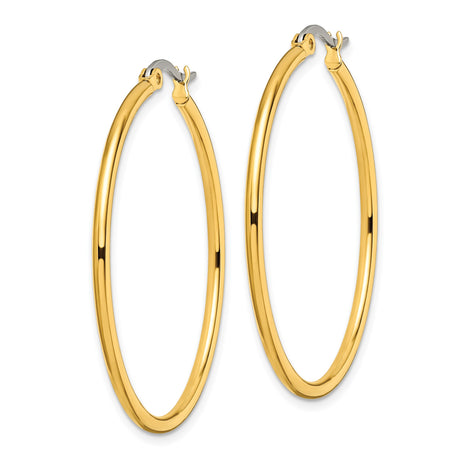 Stainless Steel Hoop Earrings, Gold Tone, Classic Round Polished Design for Women