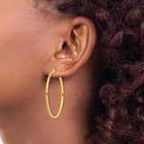 Stainless Steel Hoop Earrings, Gold Tone, Classic Round Polished Design for Women