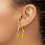 Stainless Steel Hoop Earrings, Twisted Rope Design with Yellow Tone Finish