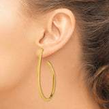 Stainless Steel Open Teardrop Hoop Earrings, Gold Tone, Lightweight Modern Design