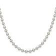 Stainless Steel 5 mm Polished Chain Necklace