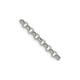 Stainless Steel 4.6 mm Polished Chain Necklace detail view